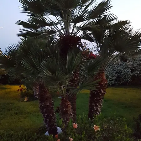 La Del Faro B&B