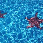 La Del Faro Bed & Breakfast 4*