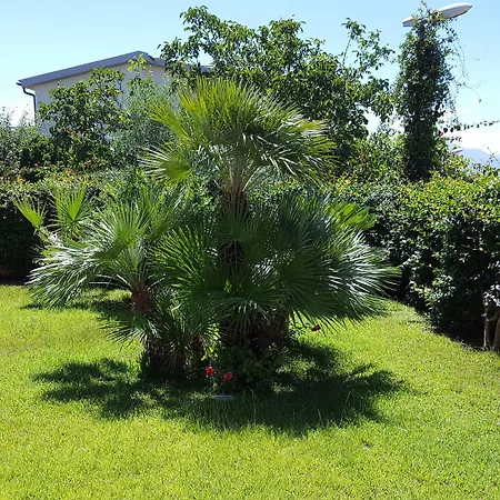 La Del Faro Panzió Scalea