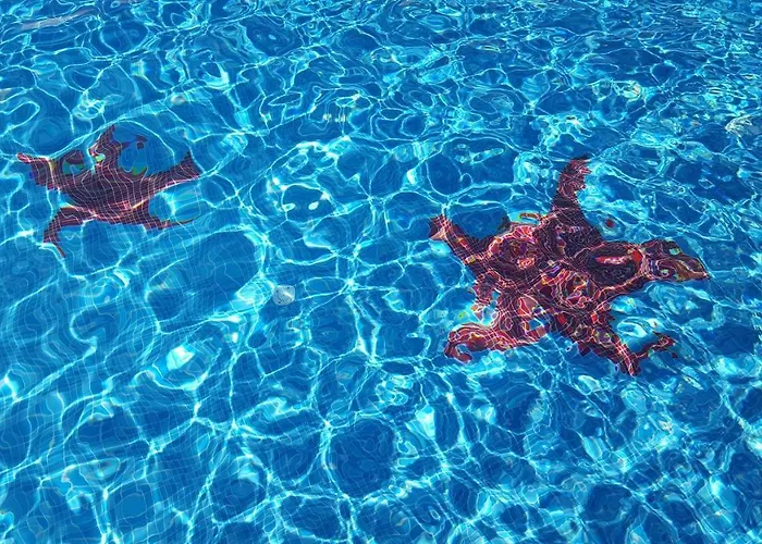 La Del Faro 住宿加早餐酒店 4*