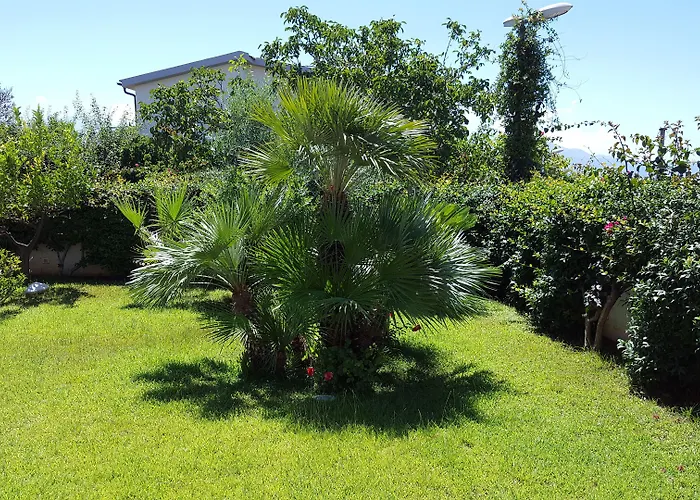 La Del Faro Panzió Scalea